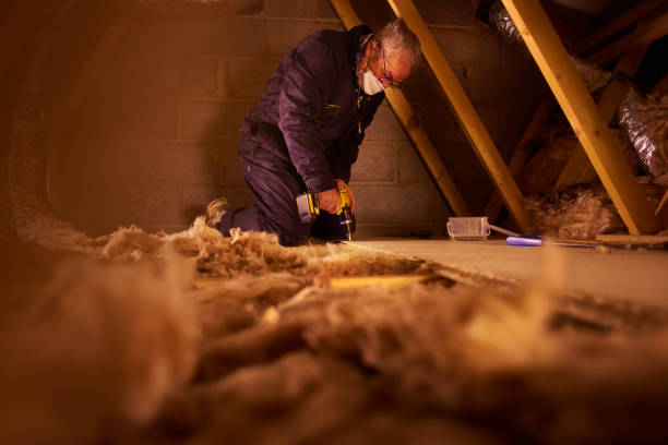 Best Attic Insulation Installation  in Craig Beach, OH